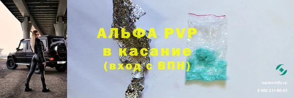 молекула духа Белоозёрский