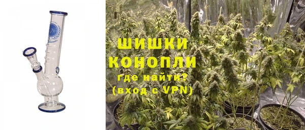 ГАЛЛЮЦИНОГЕННЫЕ ГРИБЫ Нефтегорск
