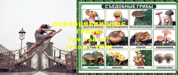 молекула духа Белоозёрский
