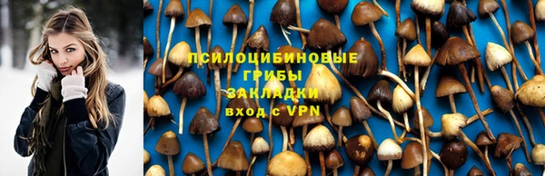 spice Белокуриха